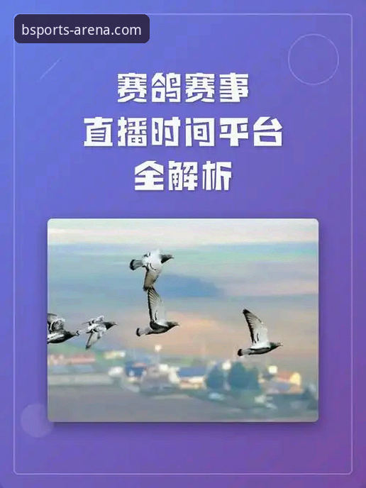 必威体育平台最新动态：BSports电竞直播教程全解析，老用户带你解锁观赛新姿势